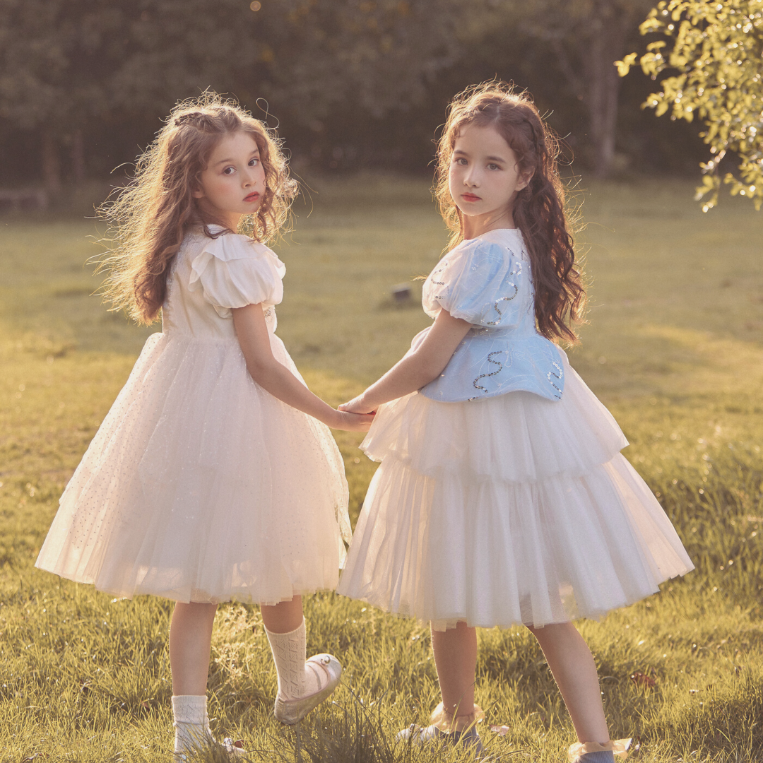 Tutu Princess Dress – Twinkle Sparkle BB