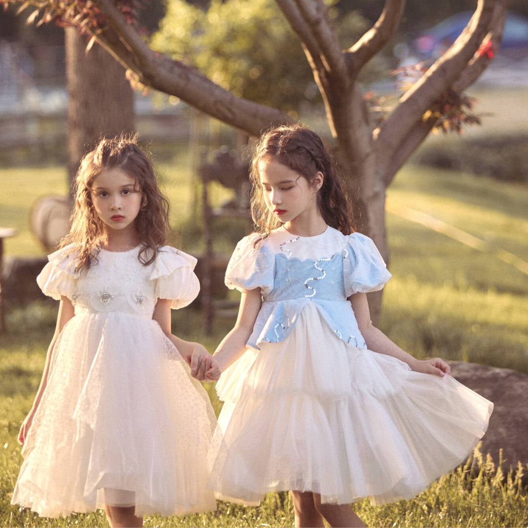 Tutu Princess Dress – Twinkle Sparkle BB Tutu Princess Dress – Twinkle Sparkle BB