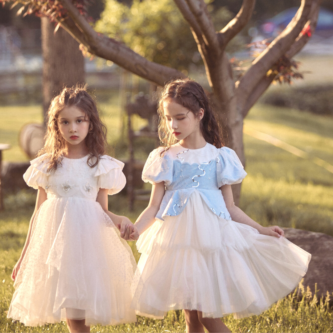 Tutu Princess Dress