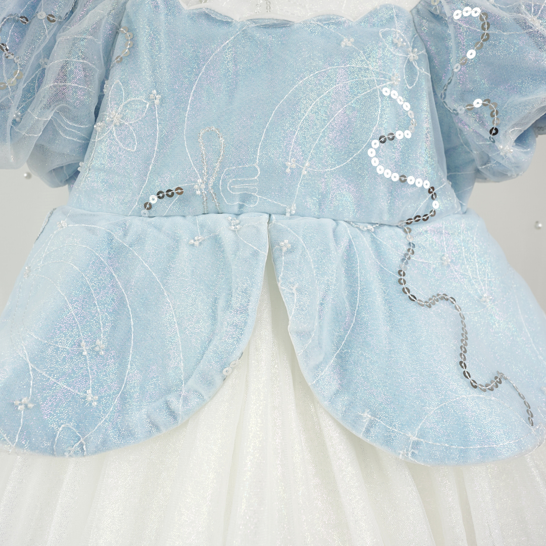 Tutu Princess Dress